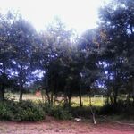 benito westoni ntangu - @benitowestoni - Instagram