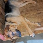 Williams Benito - @williamsbenito56 - Instagram