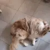 benjaminduffa271 - @benjaminduffa271 - TikTok