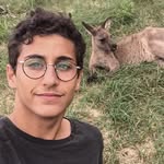 Benjamin Abitbol - @benjaminabitbol - Instagram