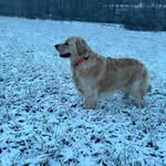Benjamin abrams - @benjaminabrams11 - Instagram