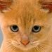 Benjamin Abramson - Facebook