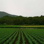 Benjamin Abreu - @benjamin.abreu.71 - Instagram
