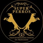 Benjamin Aceves - @superperrosescuela - Instagram
