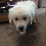 Benjamin Ackert - @benjamin_ackert - Instagram