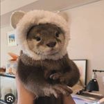 Benjamín Leonhart - @benjaminackerman4 - Instagram