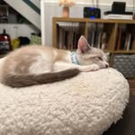 Benjamin Adcock - @bonesa9 - Instagram
