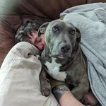 Ben Agnew - @benjamin.agnew.1 - Instagram