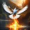 Benjamin Agu - @benjamin.agu4 - TikTok