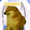 Benjamin Aguilera - @benjamin.aguilera4 - TikTok