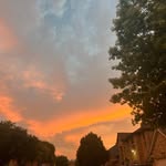 Benjamin Aitken - @benthecarpinator - Instagram