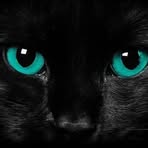 Benjamin Aker - Facebook