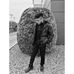 Benjamin Aleman - Facebook