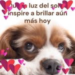 Benjamin Alicea - @aliceaelcotorro - Instagram