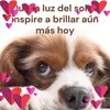 benji - @benjaminalicea2 - TikTok