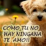 Benjamin Caleb Ruiz Allain - @ruizallain - Instagram