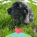Benjamin Allen - Facebook