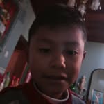 Benjamin Almeida - @benjaminalmeida - Instagram