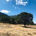 Benjamin Almodovar - Facebook