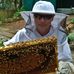Benjamin Allsop - Facebook