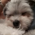 Benjamin Auger - @jack.auger - Instagram