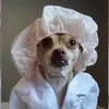 benjaminshrauger - @ben_shrauger - TikTok