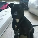 Benjamin Augustus Bartholomew - @bejaminaugistus - Instagram