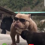 Benjamin Avelar - @avelarbenjamin - Instagram
