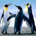 @benjamin.avendano - Instagram