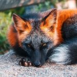 Benjamín Ávila - @benzere72 - Instagram