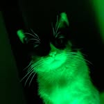 Benjamin Aviña - @ben0_02 - Instagram