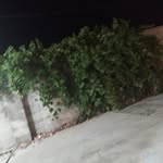 benjamin azimi - @benjamin_azimi.313692 - Instagram