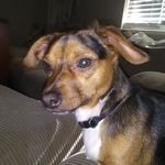 Benjamin Baca - @benjibaca - Instagram