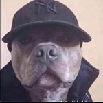 Benjamin Baca - @yoboyben209 - Instagram