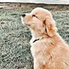 Benjamin Bacani - @benjamin.bacani4 - TikTok