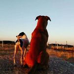 kurinarki - @benjamin_back_spacer - Instagram