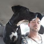 Benjamin Bacon - @benjamin.bacon.37 - Instagram
