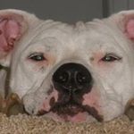 Benjamin Bacon - @baconbk - Instagram