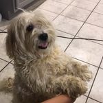 Benjamin Bacon Bomar - @benjaminbaconbomar - Instagram