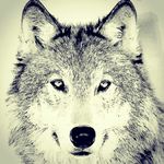 benjamin Bade - @beynar123 - Instagram