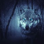 benjamin badilla - @benjamin_badilla123 - Instagram