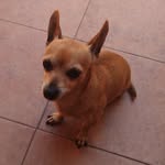 Oscar Benjamin Badillo Garcia - @oscarbenjaminbadil - Instagram