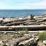 @benjamin.bainbridge1998 - Instagram