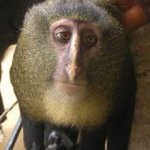 Benjamin Baird - @bbsloth - Instagram