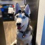 Scout Benjamin Baird - @partytimewithscout - Instagram