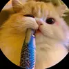 benjamin_baker_2007 - @benjamin_baker_20 - TikTok