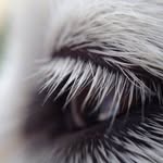 Benjamin Von Borchenhagen Bakken - @xtv2nrkbenbakken - Instagram