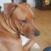 Bal Benj Balducci - Facebook