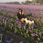 Benjamin Baldwin - @benjam428 - Instagram