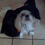 Benjamin Bange - @benjaminbange - Instagram
